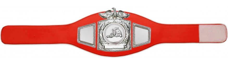 PROEAGLE JIU JITSU CHAMPIONSHIP BELT - PROEAGLE/S/JJS - AVAILABLE IN 6+ COLOURS